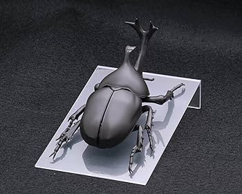 Amazon | 自由研究シリーズ No.21 いきもの編 カブトムシ